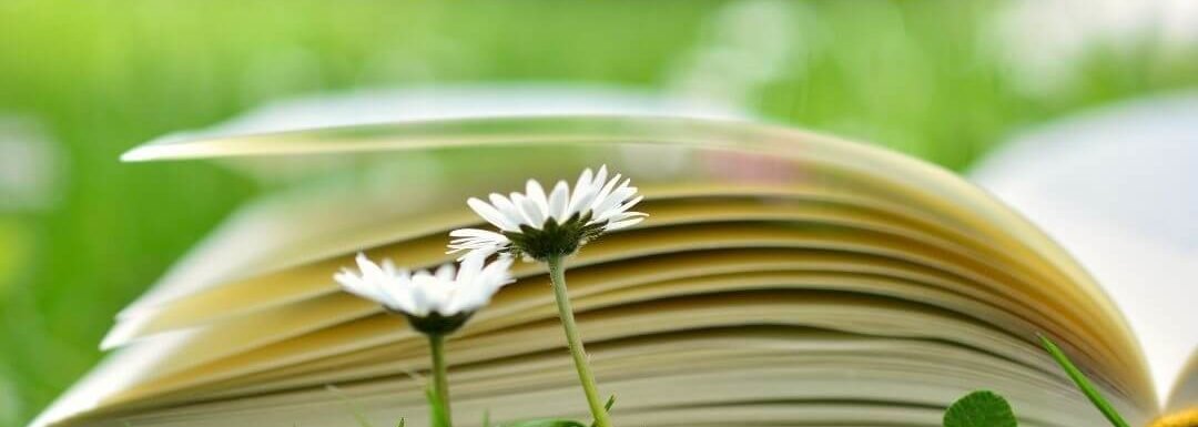 Советы по изучению грамматики