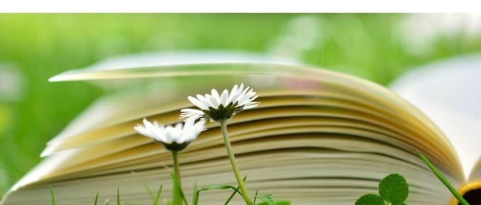 Советы по изучению грамматики